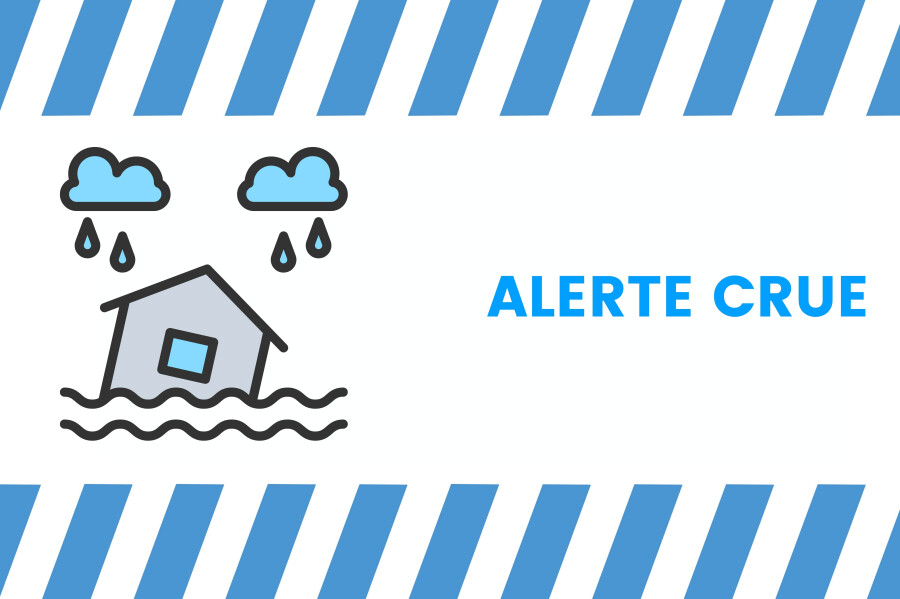 ⚠️ VIGILANCE CRUES : INFORMATIONS IMPORTANTES ⚠️