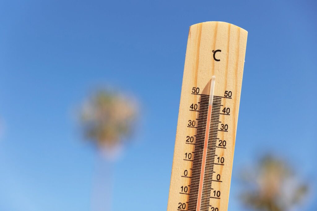 CANICULE : APPEL À LA PRUDENCE