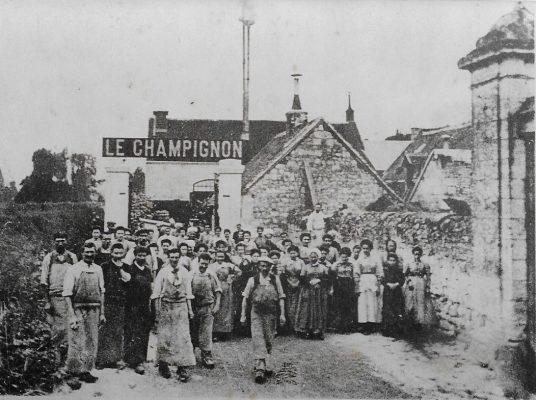 Cave champignonnière de Bourré