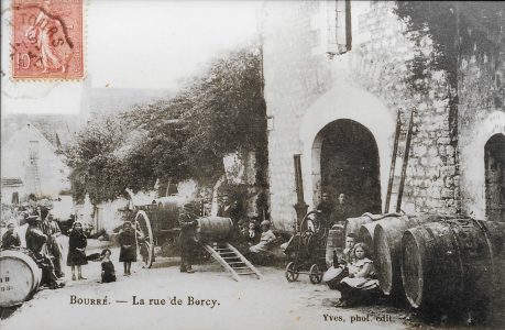 Vignes de Bourré